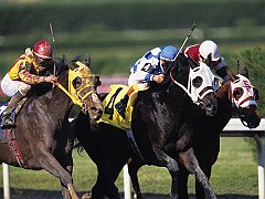 Making a Break, Gulfstream Park, Florida